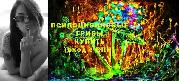 ГАЛЛЮЦИНОГЕННЫЕ ГРИБЫ Алексеевка
